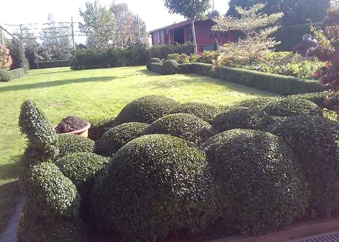 Boomchirurgie, vellen bomen & tuinonderhoud